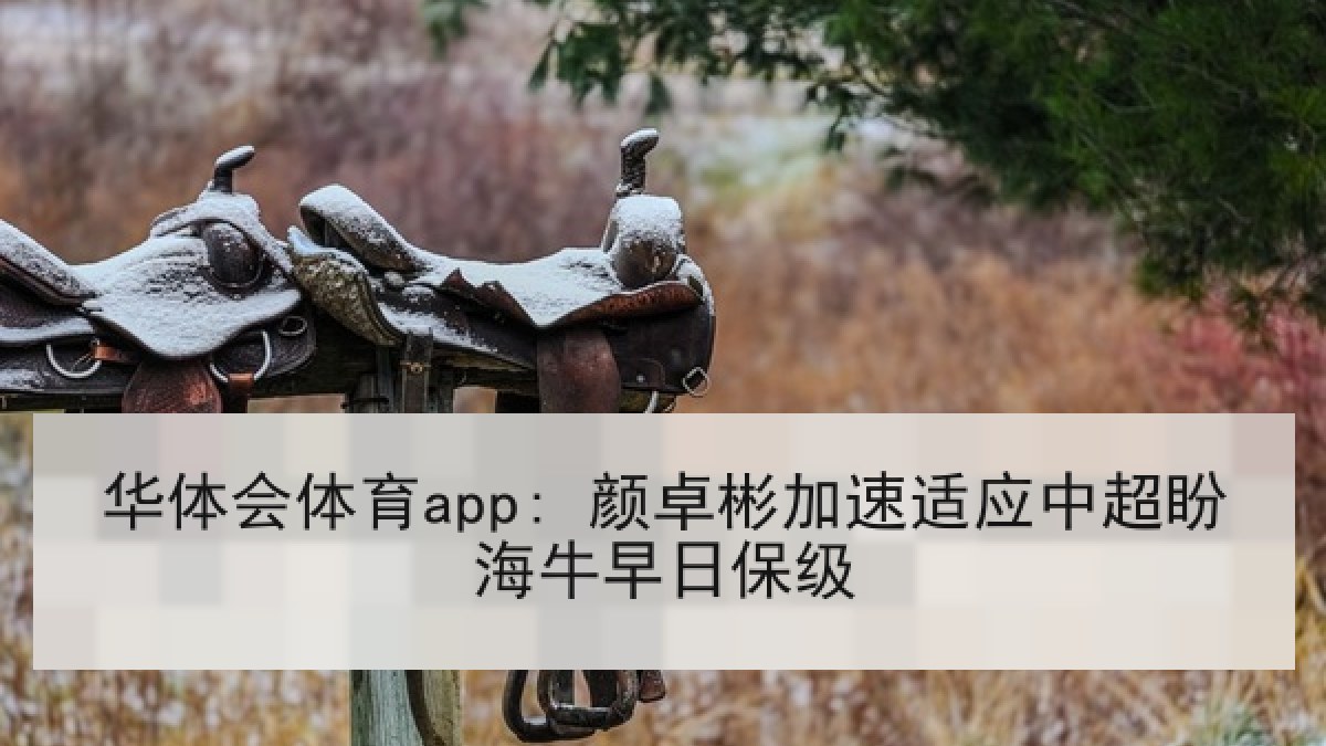 华体会体育app: 颜卓彬加速适应中超盼海牛早日保级