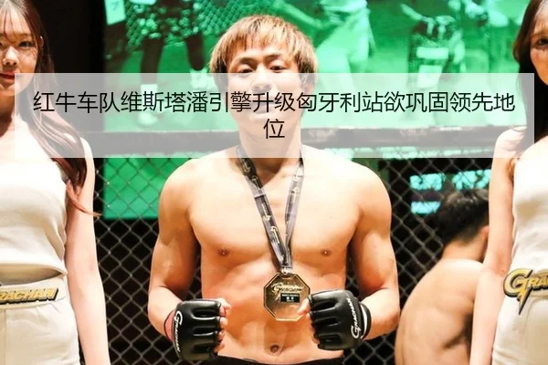红牛车队维斯塔潘引擎升级匈牙利站欲巩固领先地位