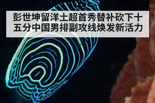 彭世坤留洋土超首秀替补砍下十五分中国男排副攻线焕发新活力
